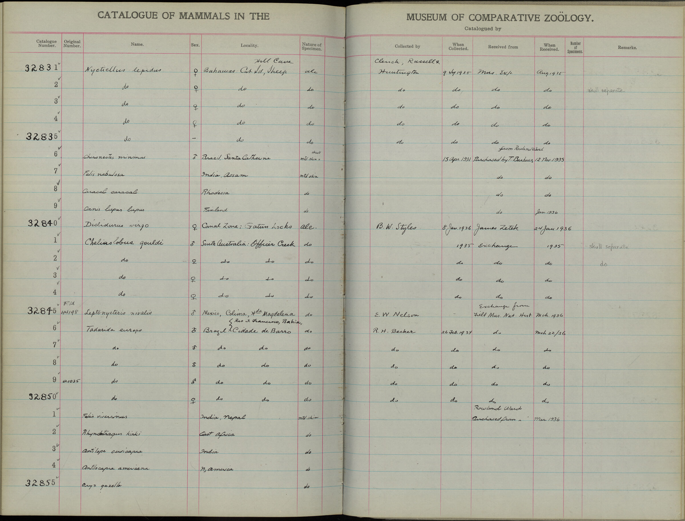 Book Keeping of Species.jpg